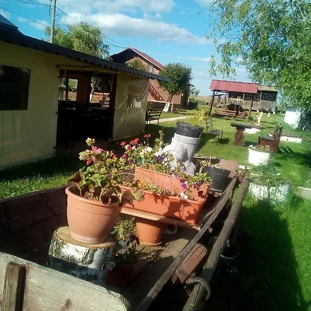 Farm stay Pensiunea ,,la Struti